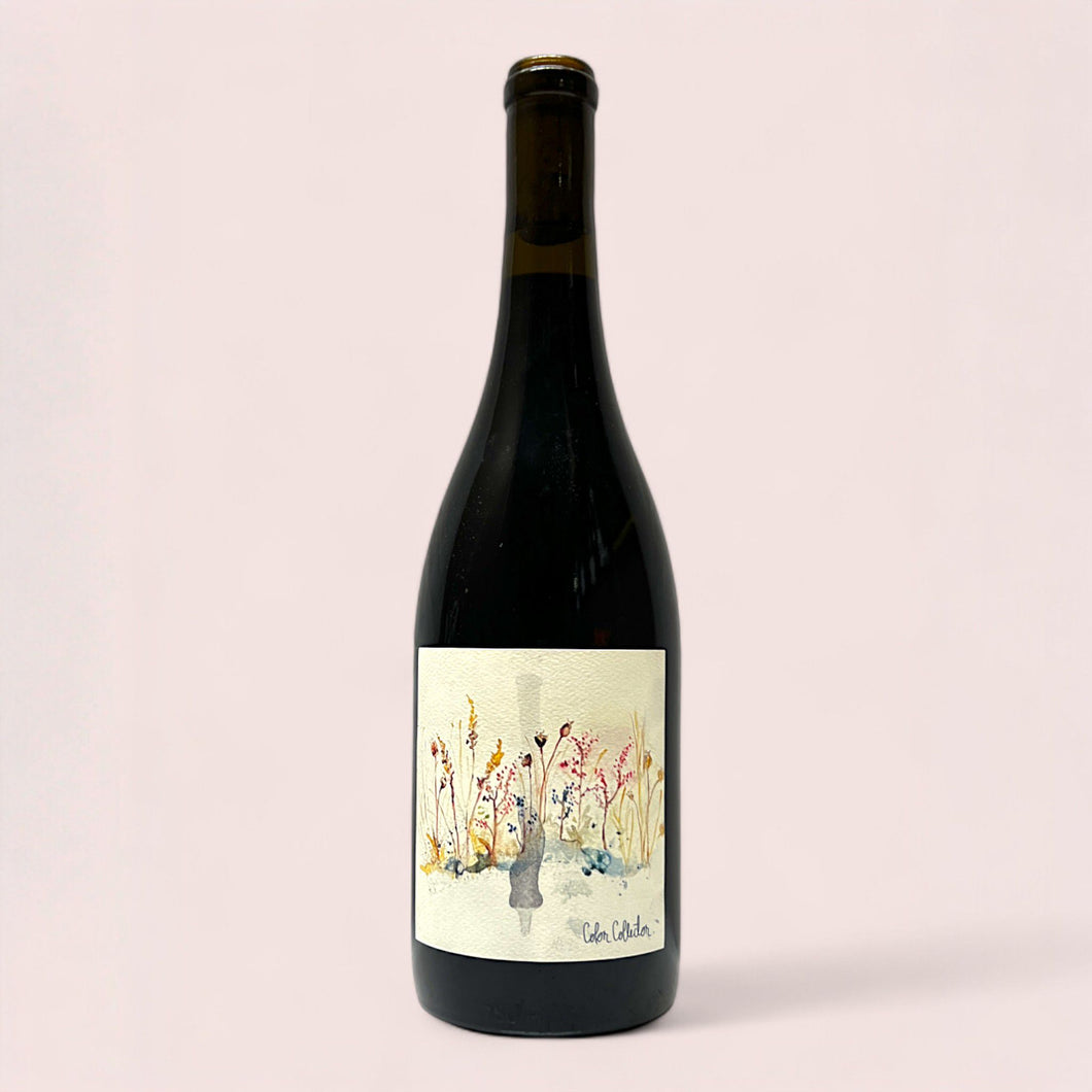 Color Collector, Columbia Gorge Gamay 2022