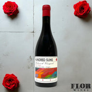 Hundred Suns, 'Bednarik Vineyard ' Tualatin Hills Pinot Noir 2023