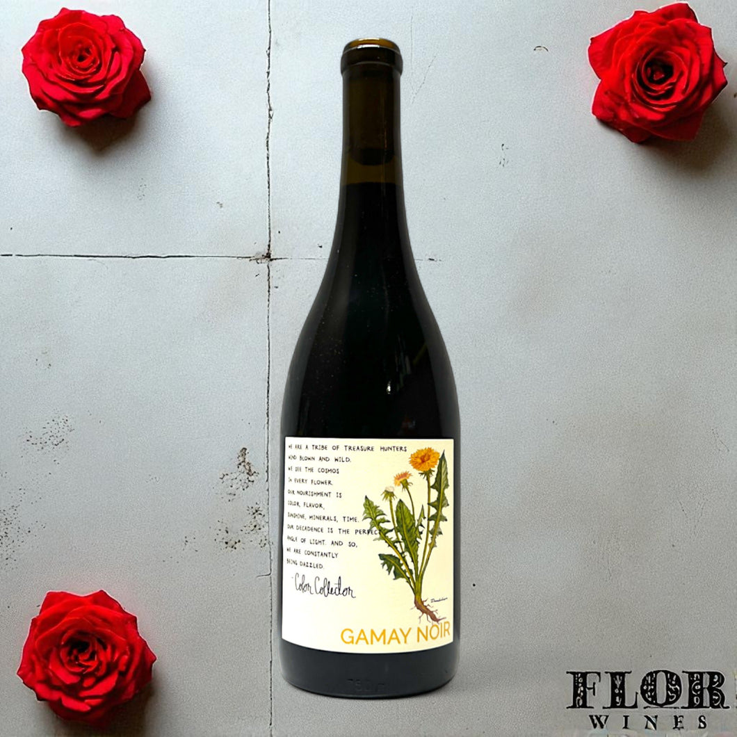 Color Collector, Willamette Valley Gamay 2023