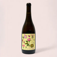 Color Collector, Gamay Rosé 2023