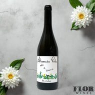 Alessandro Viola, 'Note di Bianco' Terre Siciliane 2024