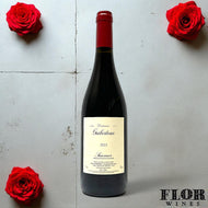 Domaine Guiberteau, Saumur Rouge 2023
