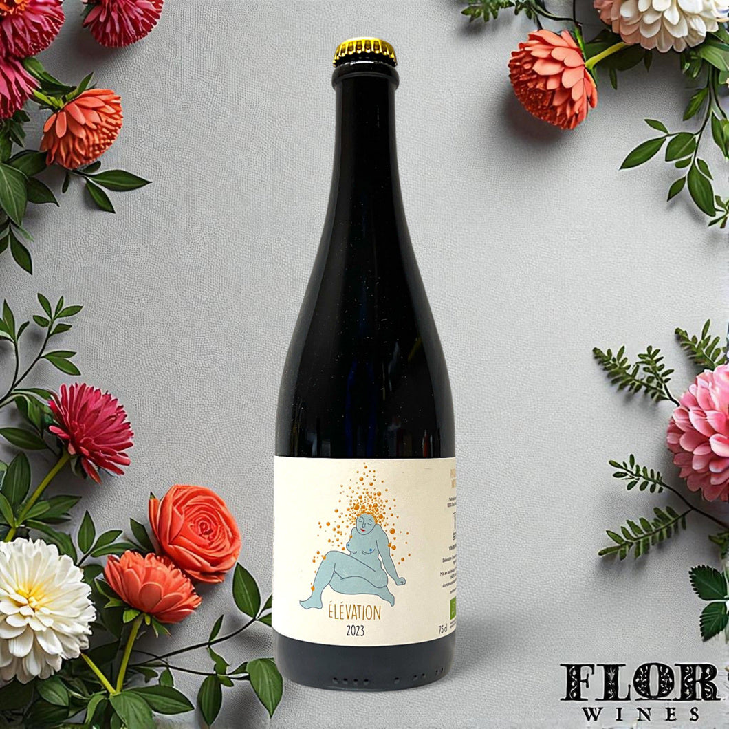 Domaine Coustarret, 'Elevation' Petillant Naturel 2023