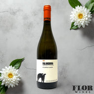 San Salvatore, Falanghina 2023