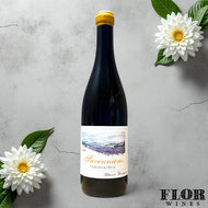 Thibaud Boudignon, 'Clos de la Hutte' Savennieres 2023