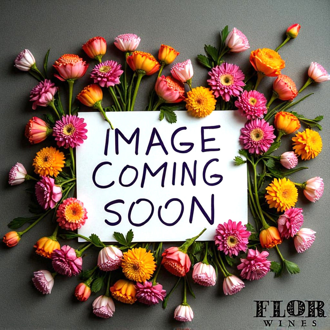 Les Terres d'Ocre, 'Instan T' Saint Pourcain Rouge 2022